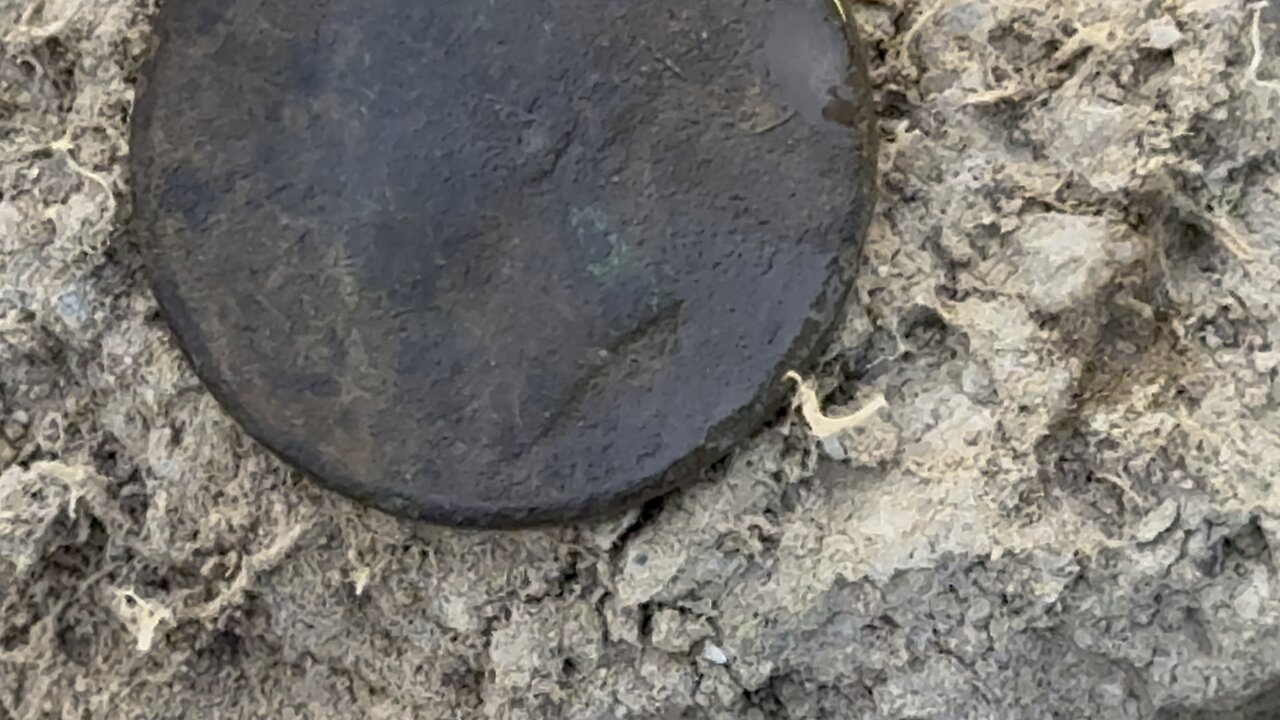 The Coin Of A King Metal Detecting