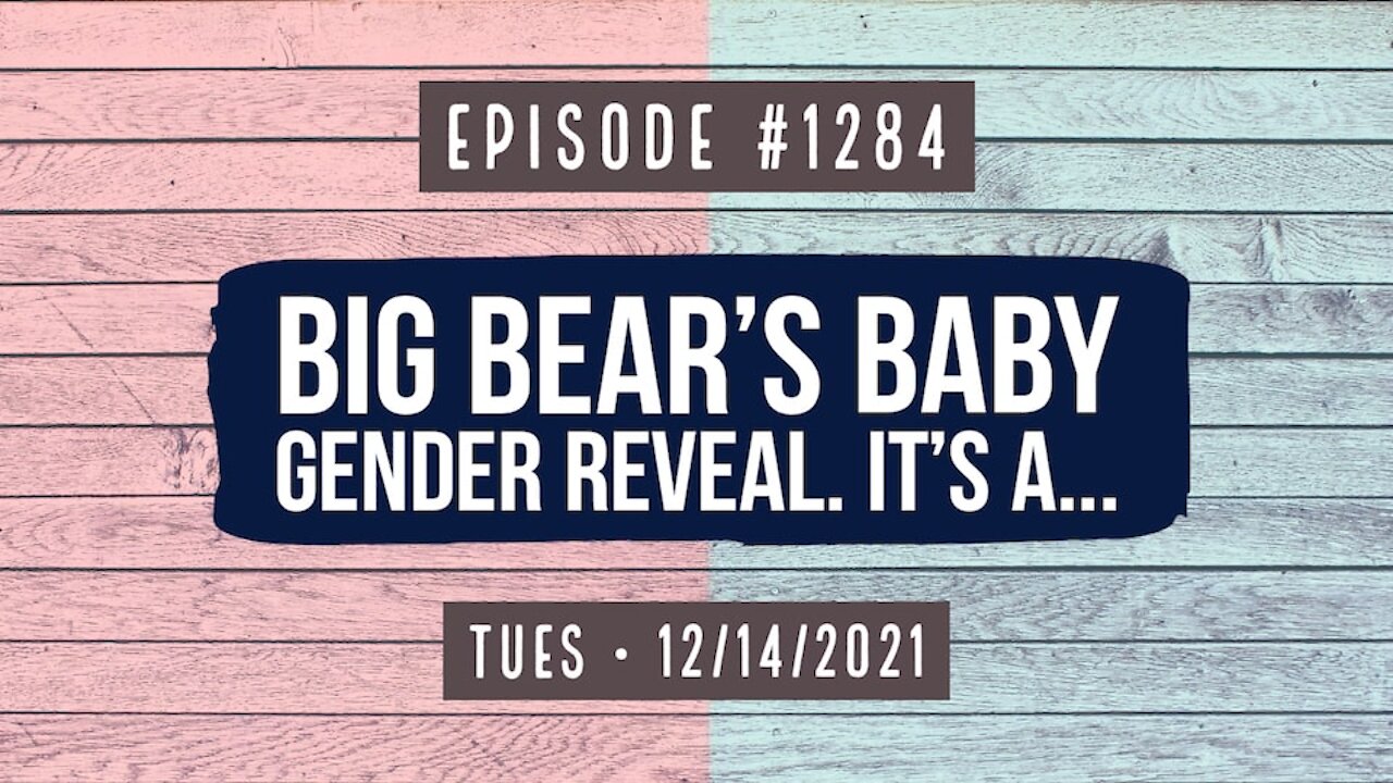 Owen Benjamin | #1284 Big Bear's Baby Gender Reveal. It's A...