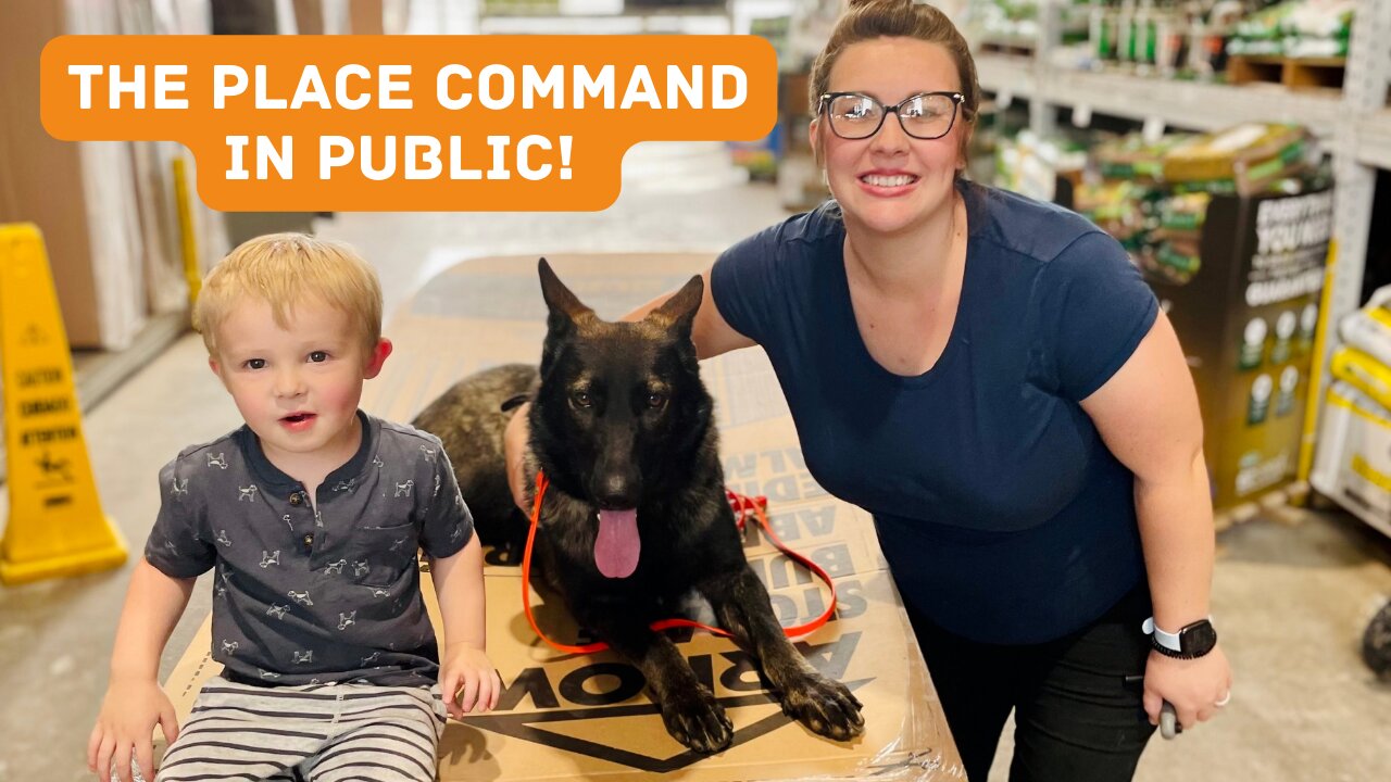 Teaching The Place Command in Lowe's | Expert Dog Training