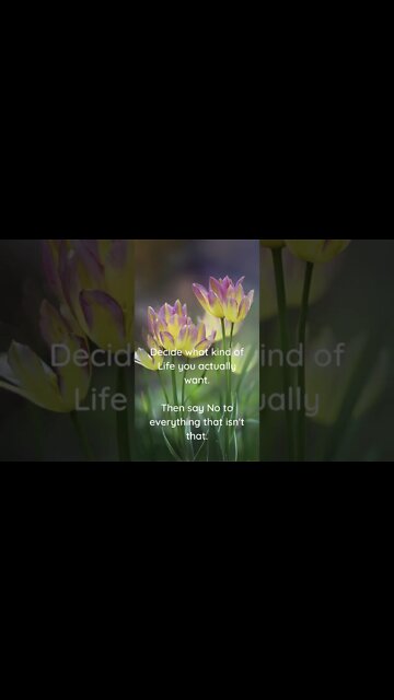 Decide what kind of Life you actually want...