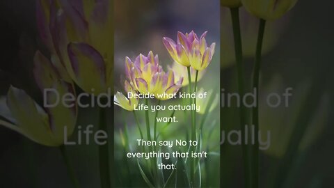 Decide what kind of Life you actually want...