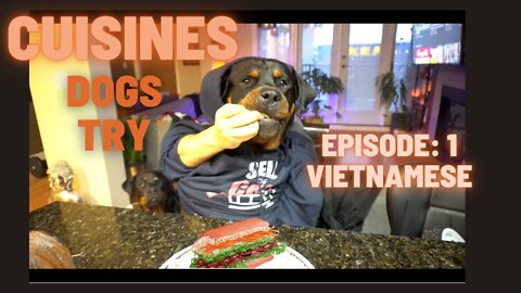 Cuisines Dogs Try - Ep 1 - Vietnamese