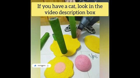 cute cat videos 😹 funny videos 😂88