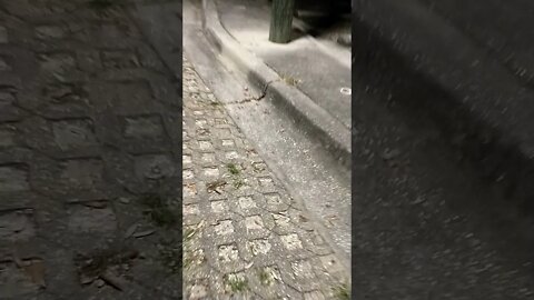 Gang Stalking Perp Walk 12/17/2021 Pt. 2