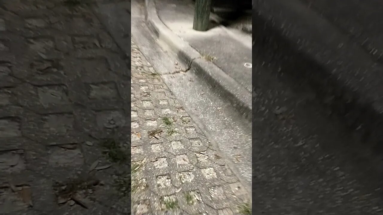 Gang Stalking Perp Walk 12/17/2021 Pt. 2