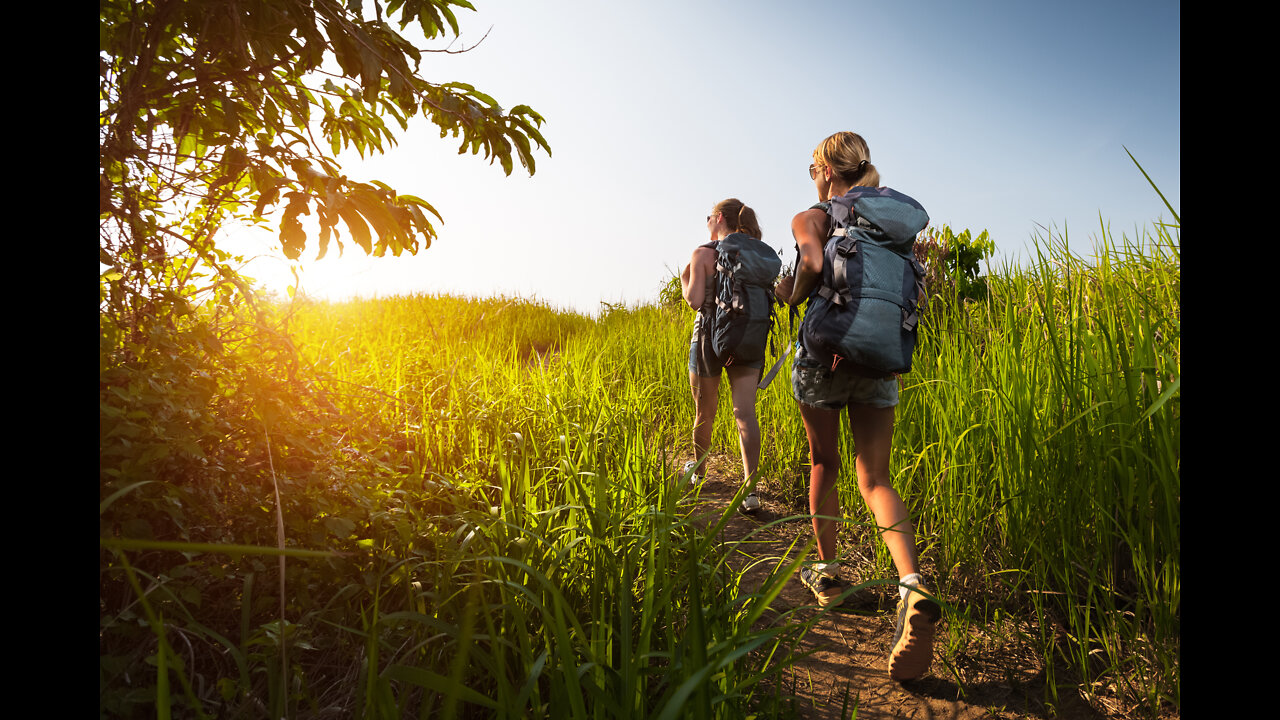 Physical vitality such as walking as one ingredient of mental wellness and sanity