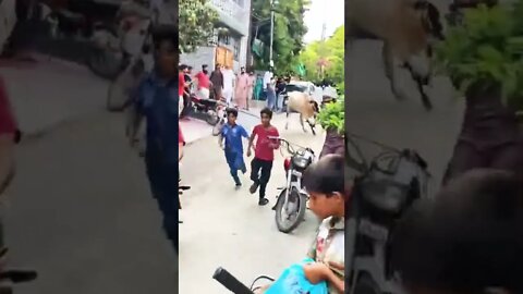 Eid Funny #shorts #funny