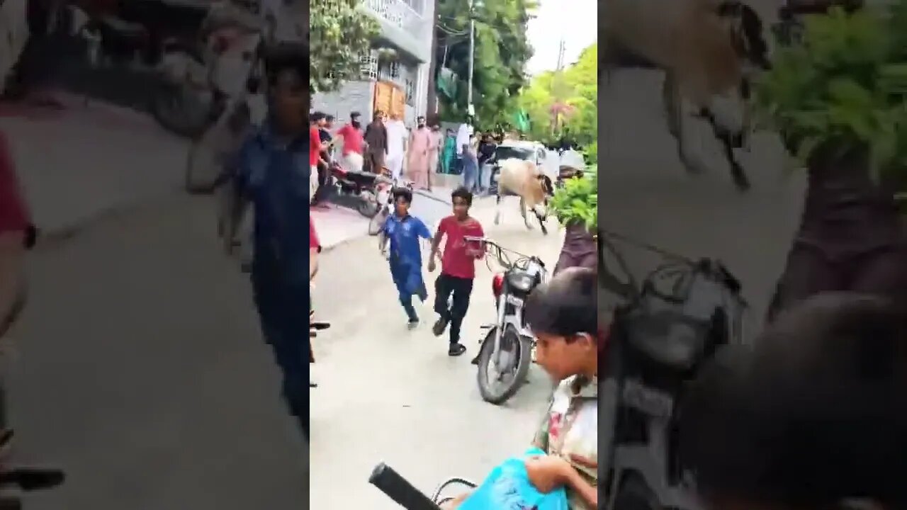 Eid Funny #shorts #funny