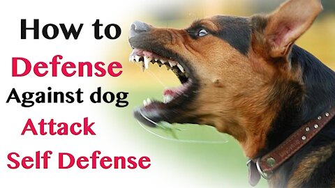 Self defense against dog attack, learn how to defend yourself