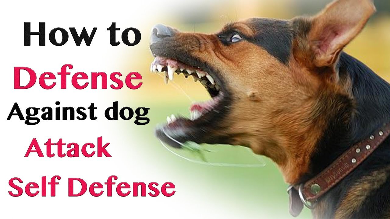 Self defense against dog attack, learn how to defend yourself