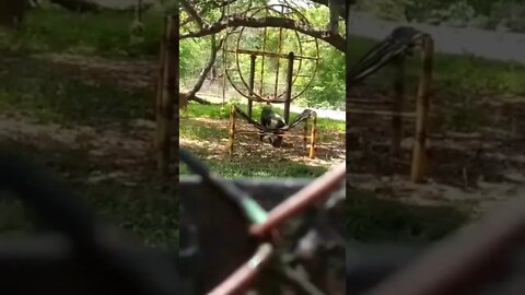 vadivelu kurangu Kuppan comedy