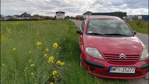 (3/4) On the way to rapeseed