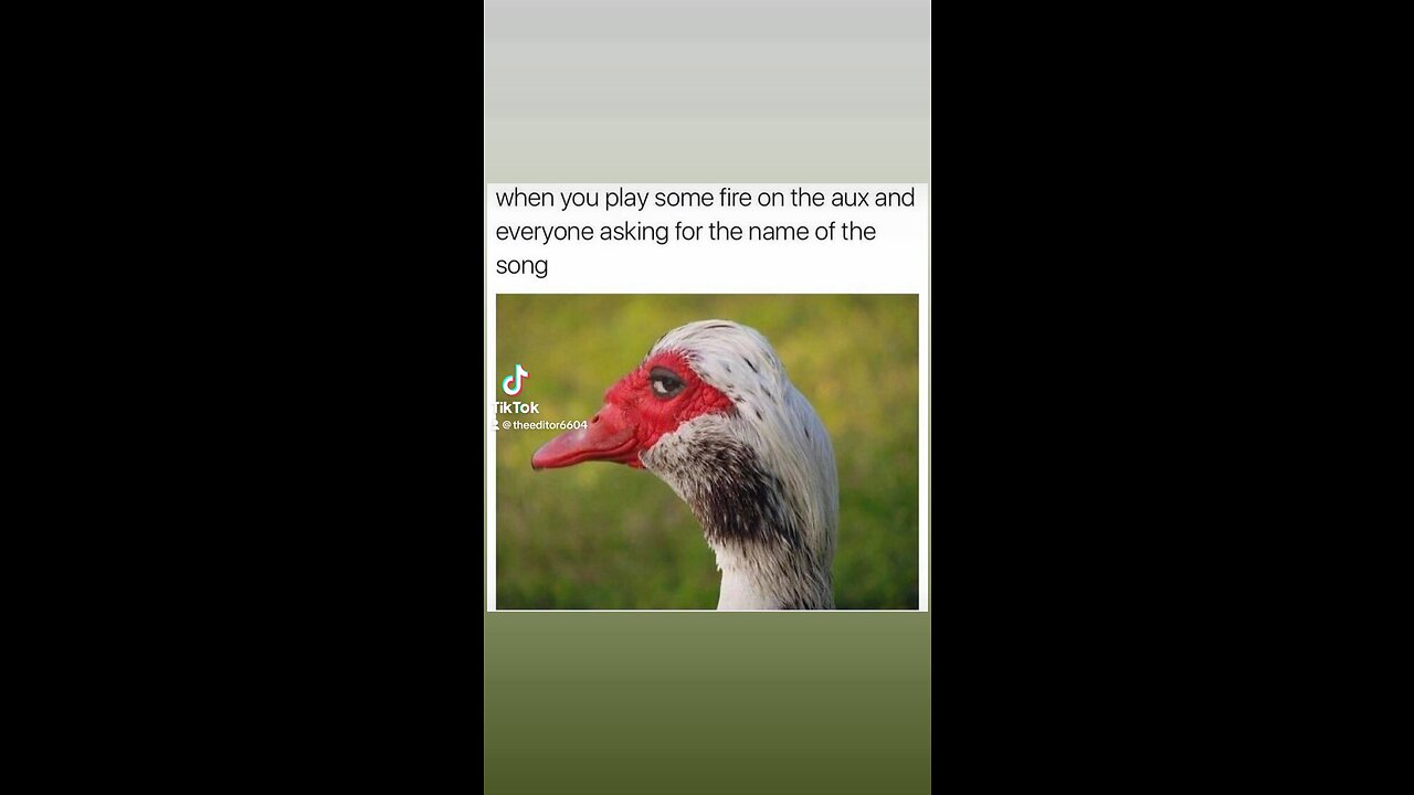 Pass the aux