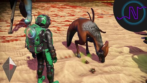 FEEDING MY NEW PETS WITH THE AUTOMATED FEEDER! - No Man's Sky Next Generation - E95