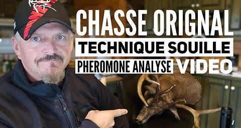 11 sept#1251 Steph Monette ON JASE Chasse orignal et techniques, Évaluation video d'orignal?