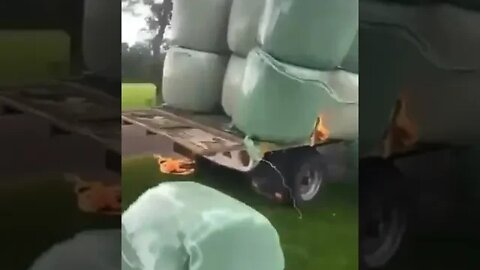 Dutch farmers revenge on the officer who opened fire on them