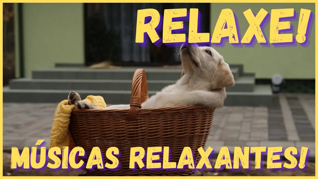 Músicas relaxantes! Descanso e paz! Durma, medite, ore e estude!