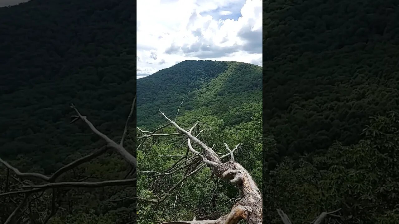 Quick hike to Big Rock. Spectacular view! #youtubeshort