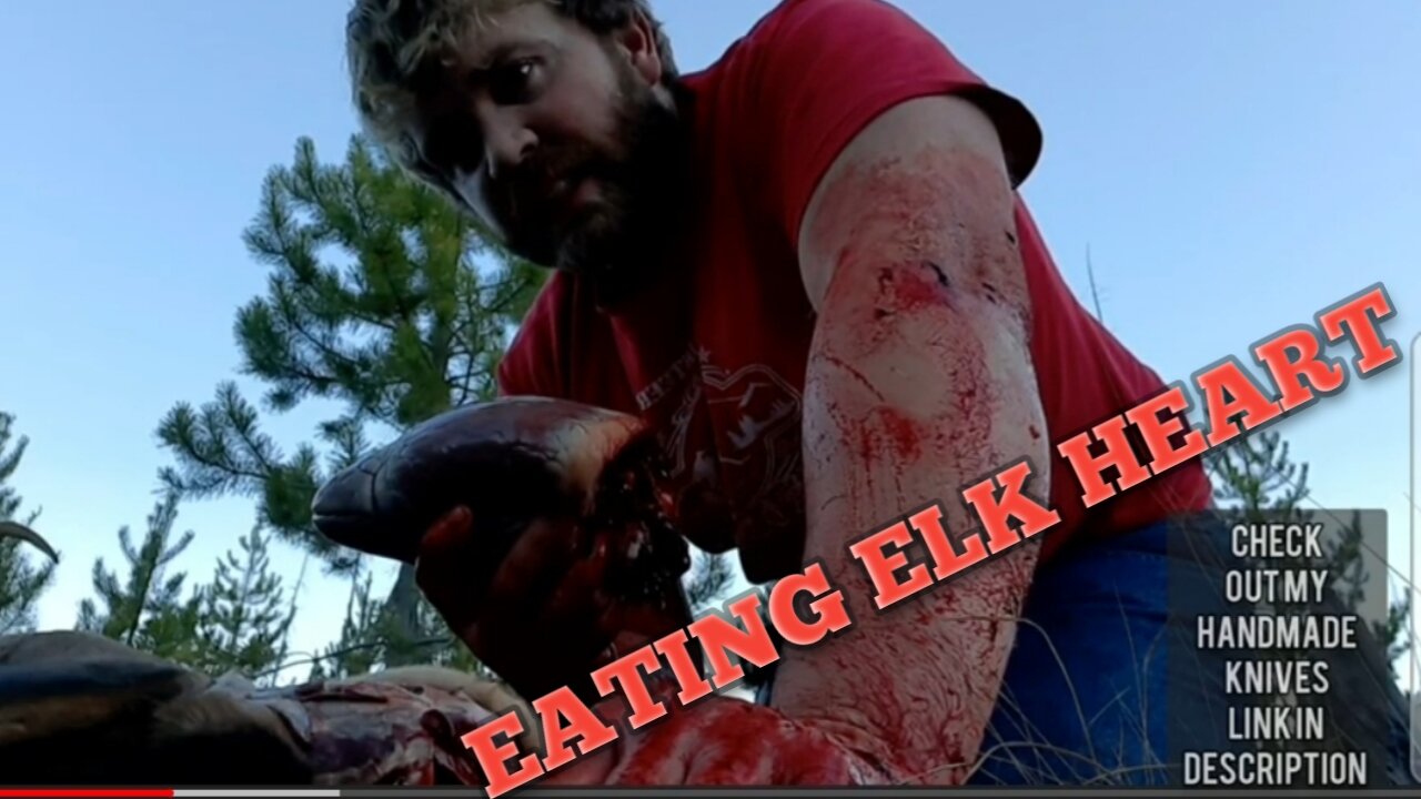 Eating Raw Elk Heart