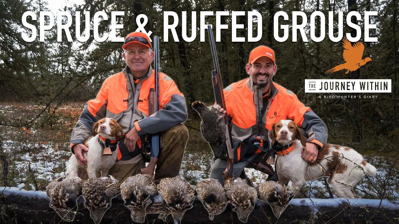 Canada Ruff, Spruce Grouse and Snipe: The Journey Within - A Bird Hunter's Diary | Mark V Peterson