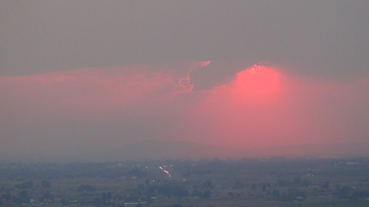 Cowards need not Apply