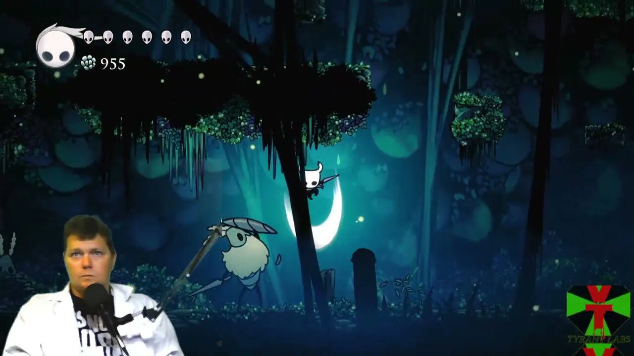 The Hollow knight bug killing fun time