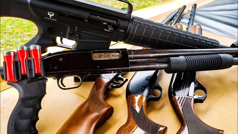 TOP 5 Shotguns for the Average Dude