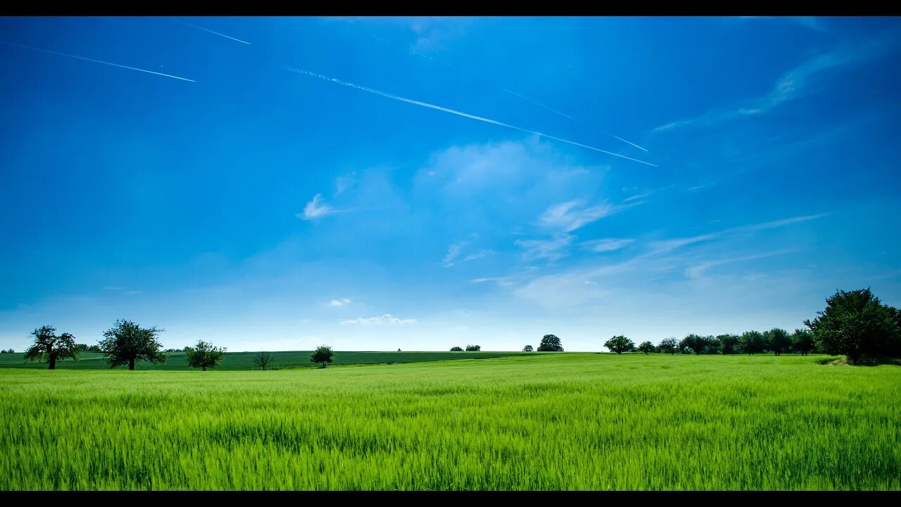 Relax Relaxing Water Sounds of nature Study sleep meditation Sounds of water Bird song.