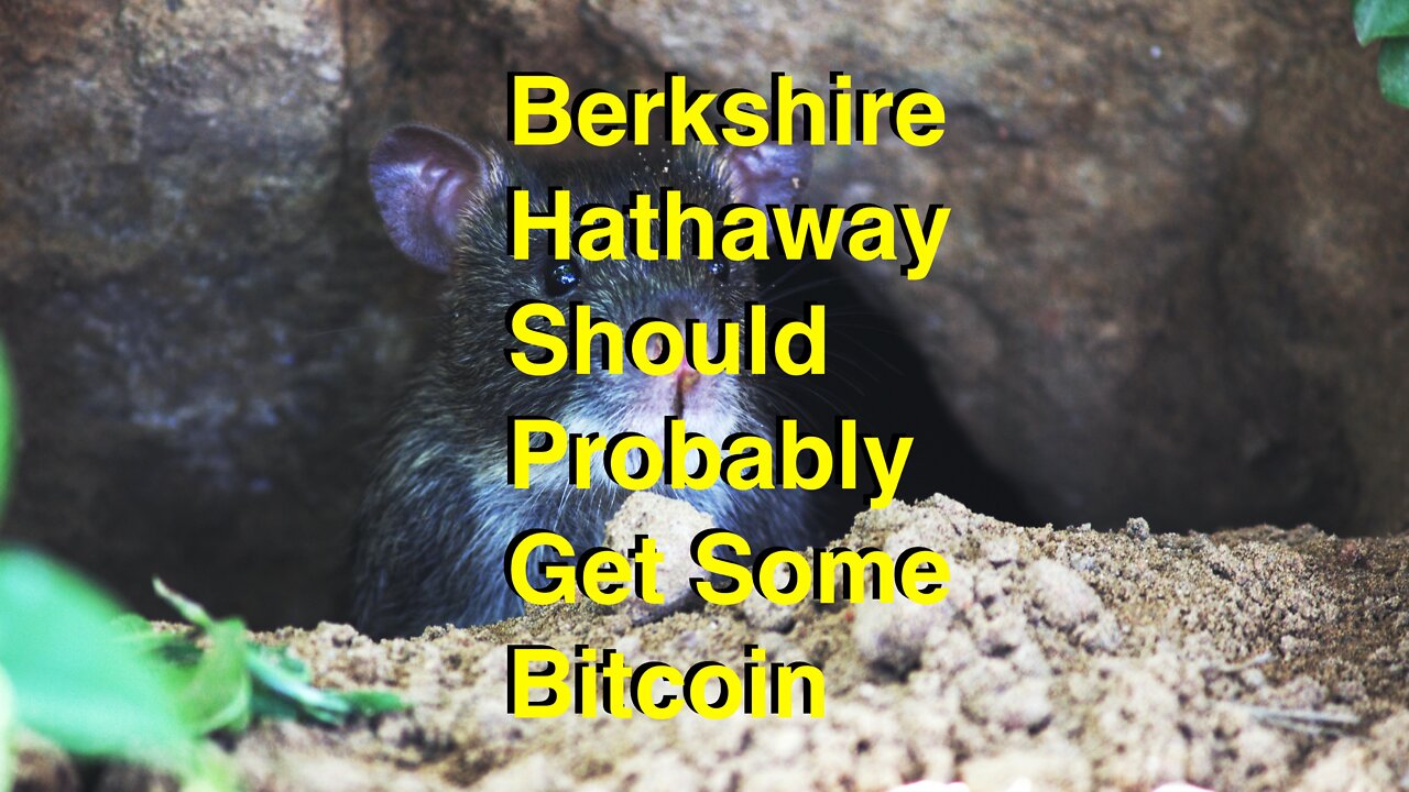 Berkshire Hathaway Indirectly has Bitcoin | Trucker Convoy Updates