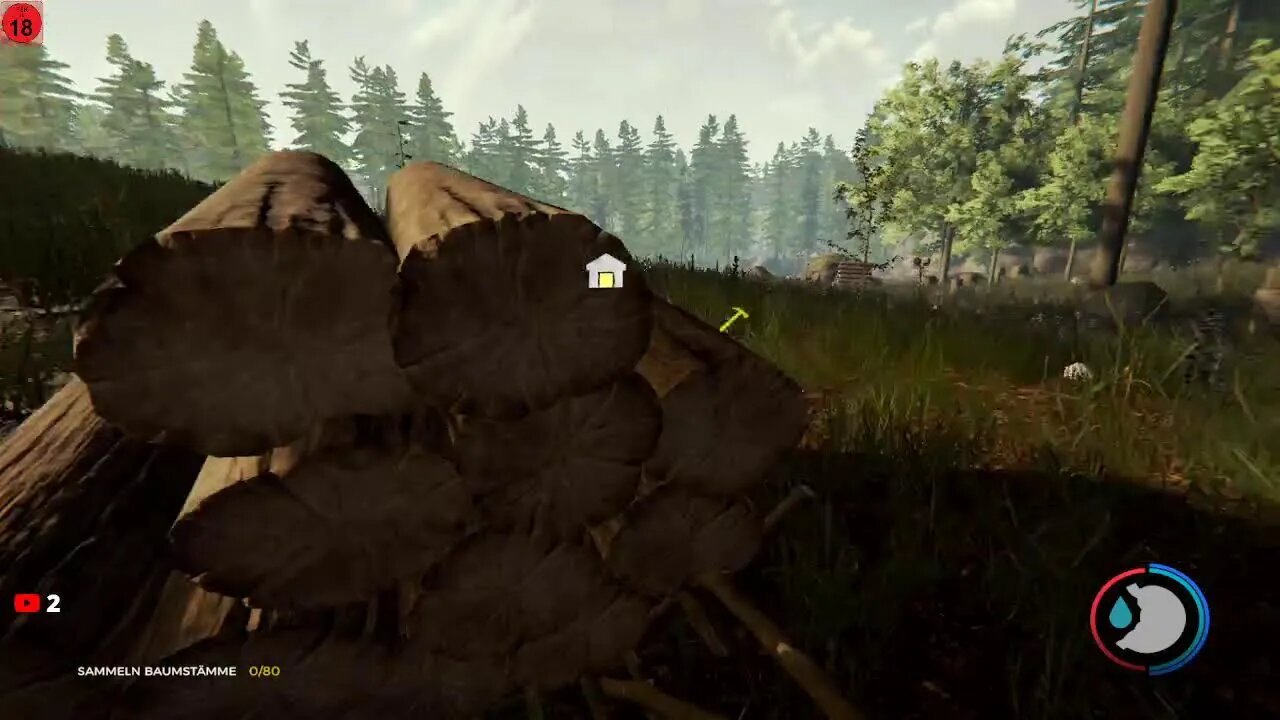 Test in The Forest