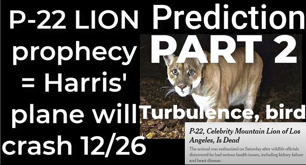 PART 2 - Prediction- P-22 LION prophecy = Harris' plane will crash Dec 26