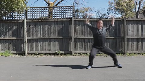 Shaolin Kung Fu Wushu Basic Form Training For Beginners