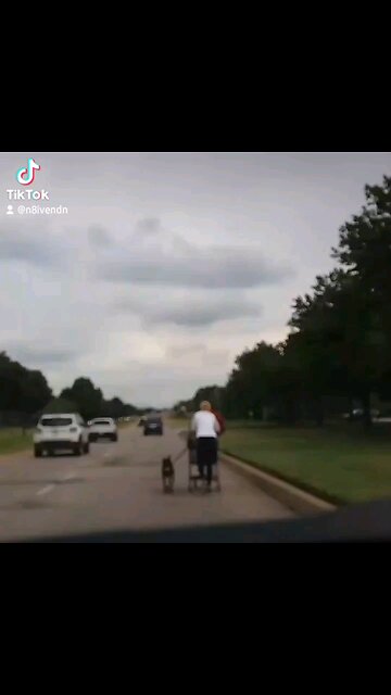 A woman blocking a lane of traffic with her dog minding her own business.