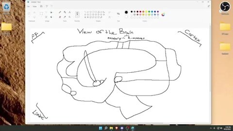 Session 5: Metagame (Paint, Typing, Aim Training) - Part 8 -