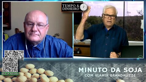 Milho com lavouras em excelentes condições no Brasil