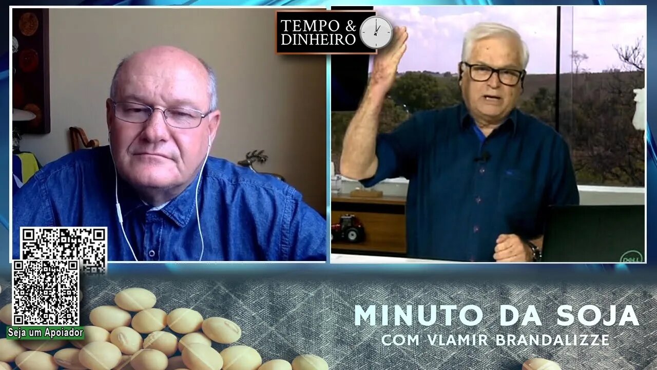 Milho com lavouras em excelentes condições no Brasil