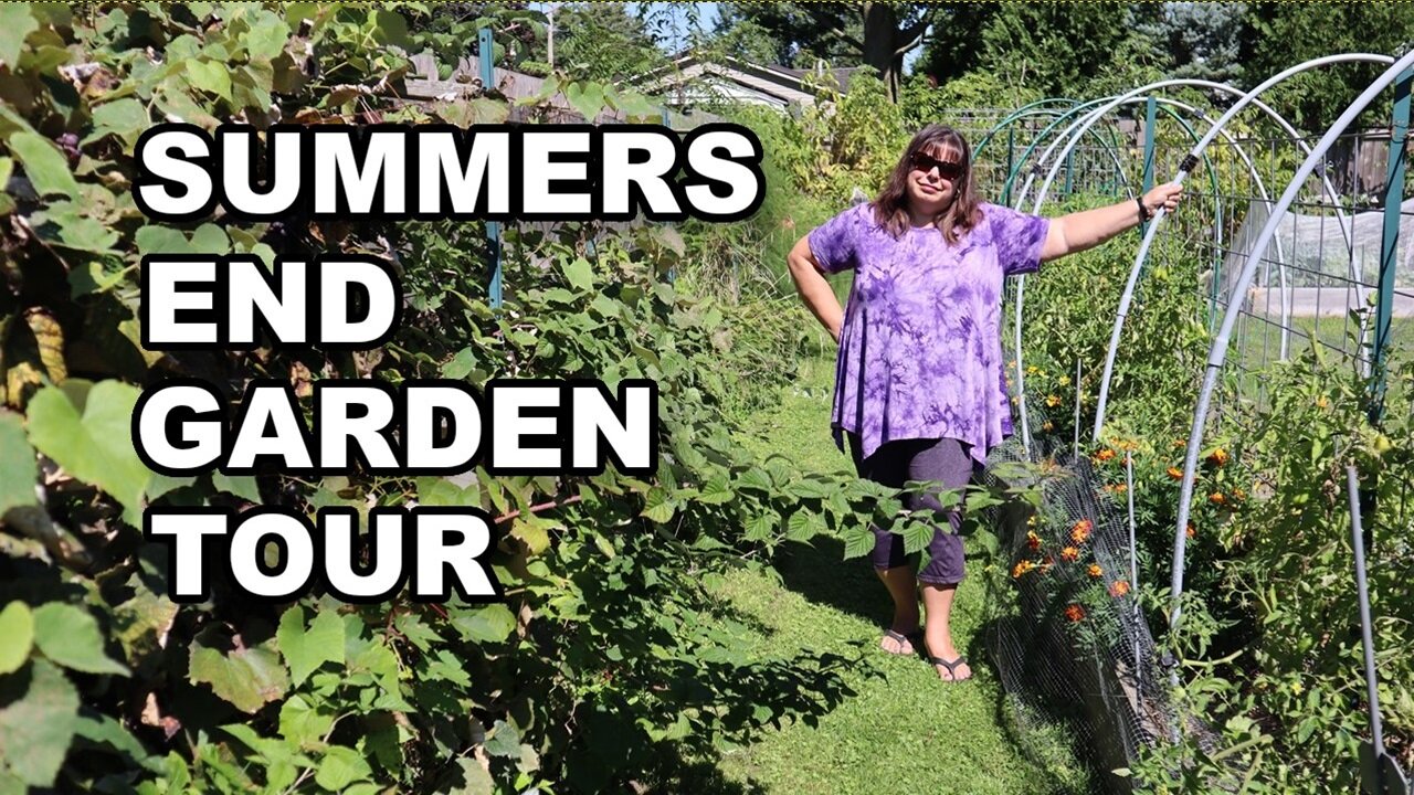 End of summer garden tour 2024