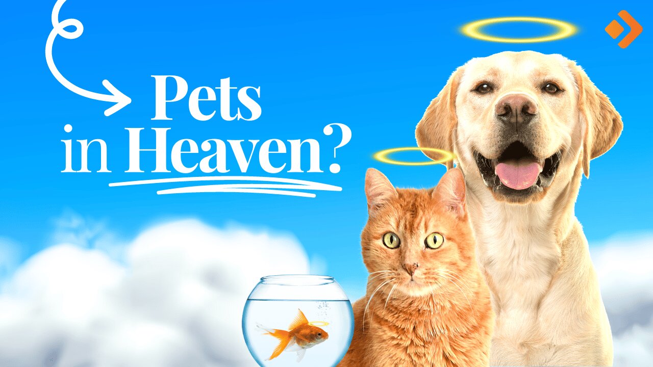 Will Our Pets Be In Heaven?