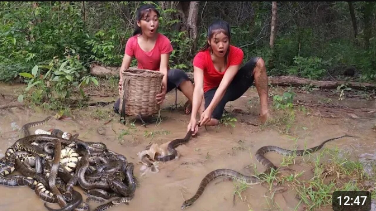 A_lot_snake_in_the_rainforest,_Catch_snake_for_survival_food_-_Snake_soup_spicy_Eating_delicious