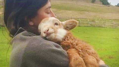 how the cute ways animals say "i love you" to human