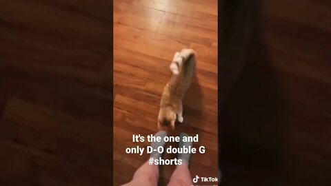 It's the one and only D-O double G #shorts