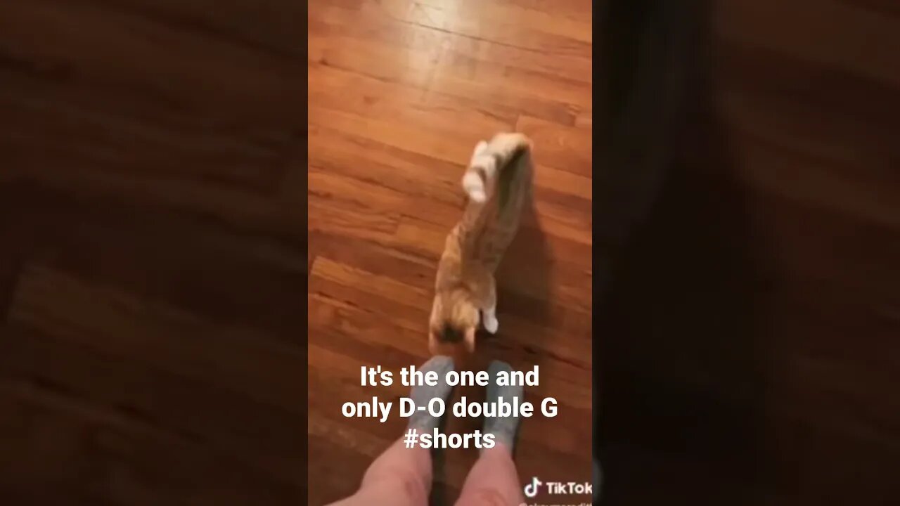 It's the one and only D-O double G #shorts