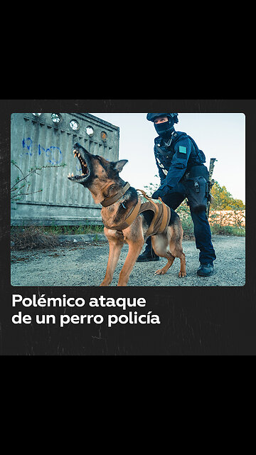 Un perro de la policía ataca a un hombre desarmado tras una persecución