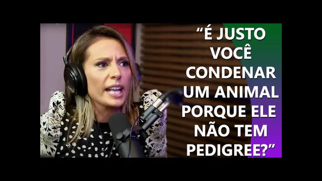 POR QUE É ERRADO COMPRAR CACHORRO? | Super PodCortes