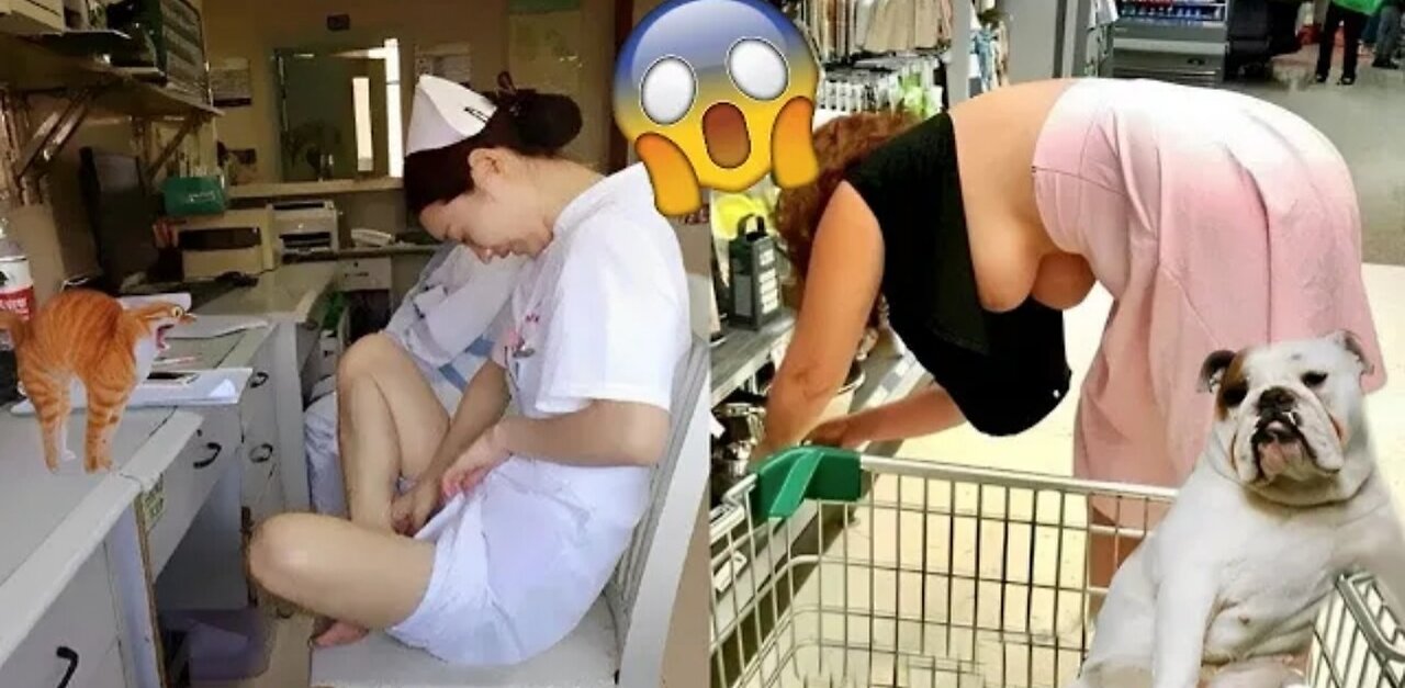 Best Funny Animal Videos 2022 - Funniest Ducks Cats 🐈 and Dogs 🐕 Video