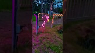 Neon Flamingo at Brackley Drive in