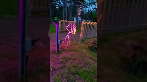 Neon Flamingo at Brackley Drive in