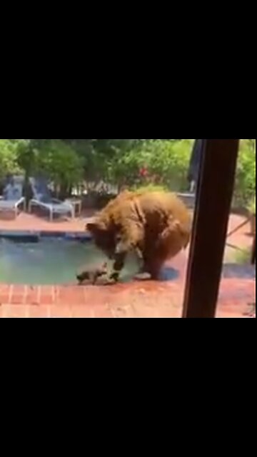 STAY COOL DURING THIS HEAT WAVE