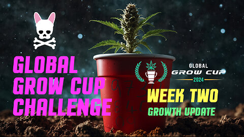 Global Grow Cup Challenge 2024 - Week Two - Growth Update