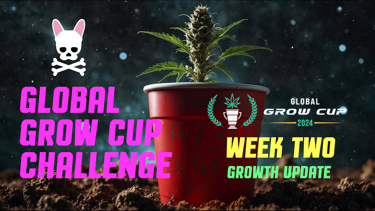 Global Grow Cup Challenge 2024 - Week Two - Growth Update